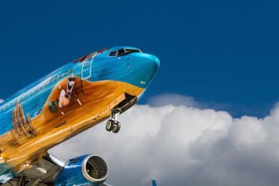 Inglês para Pilotos e controladores no english4pilots.com.br Cursos e aulas de Inglês para Pilotos, Controladores de Vôo, Tráfego Aéreo, Mecânicos, Comissários de Bordo, de Voo, Tripulação, aulas on-line ou em brasília com professores nativos English Solutions Brasília 